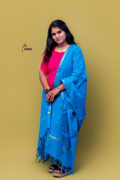Mangalagiri Blue & Pink Charm
