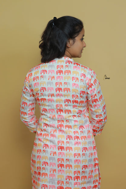 Elephantidae